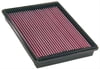 Air Filter, GM P/U, 03-08, 6.0L, 8.1L, & 6.6L