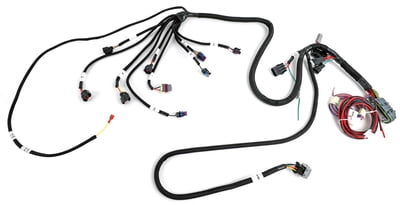 FAST Fuel Injection System Wiring Harness