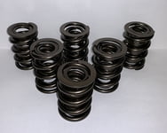 Valve Springs