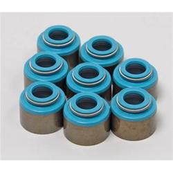 Valve Stem Seals