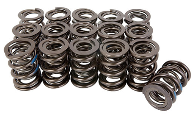 NexTek Dual Valve Springs