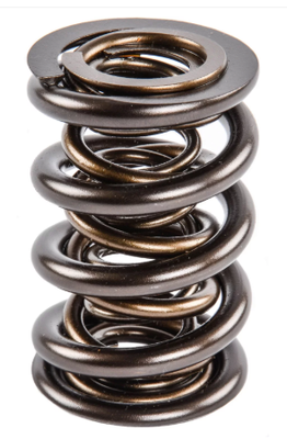 NexTek Triple Valve Springs