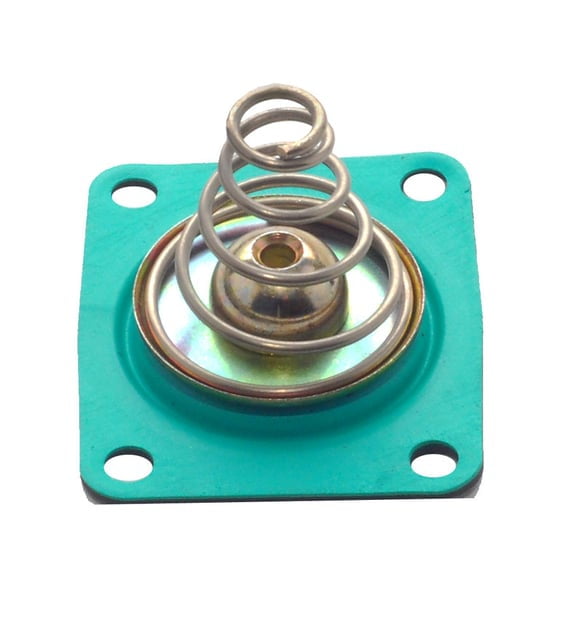 Diaphram Bypass Pressure Regulator Kit w/ Spring, GFL, Replacement APD Bypass Reg, Green