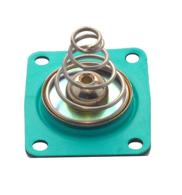 Diaphram Bypass Pressure Regulator Kit w/ Spring, GFL, Replacement APD Bypass Reg, Green