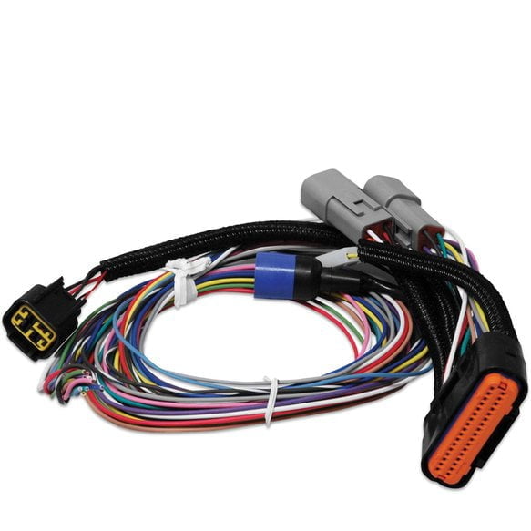 MSD-7730 / 77303 Main Wire Harness