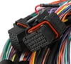 Pre-Terminated J1A / J1B 15' Flying Lead Main Harness