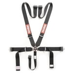 Seat Belts / Harnesses